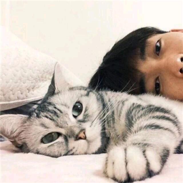 鹿鸣