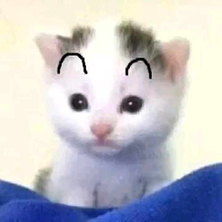 卷卷•