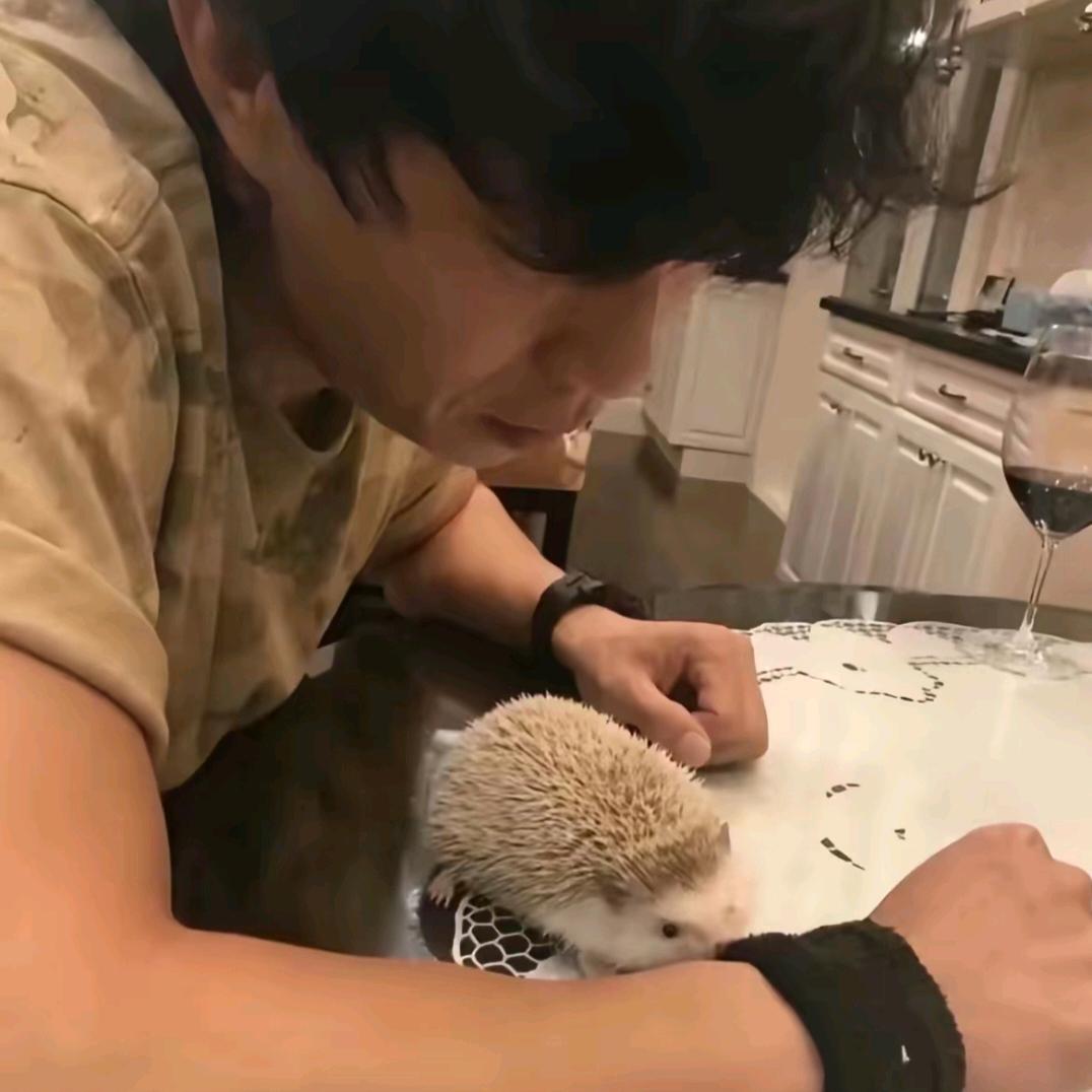 任頔
