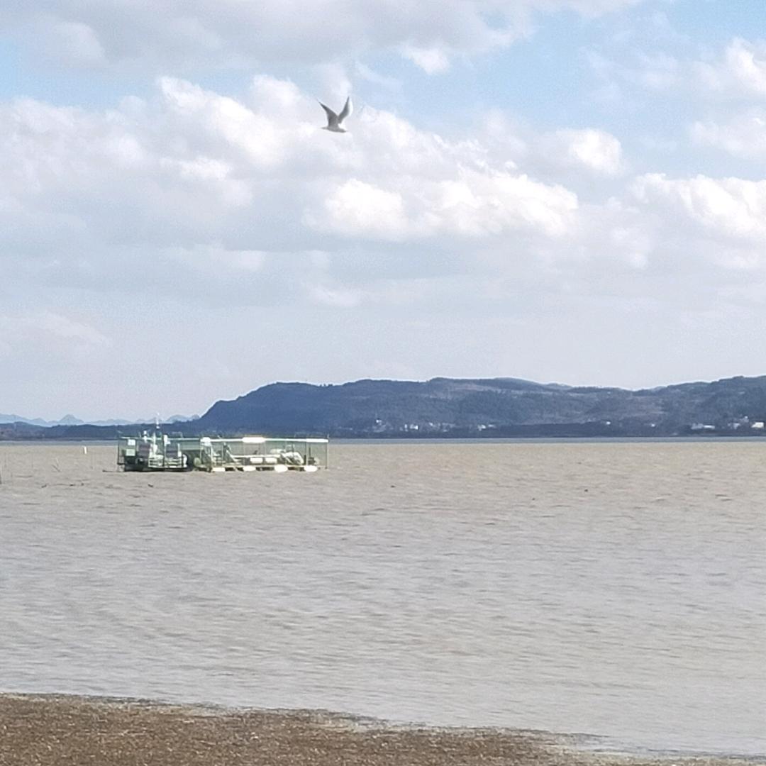 💖真实🌹🌹🌹心成🦅