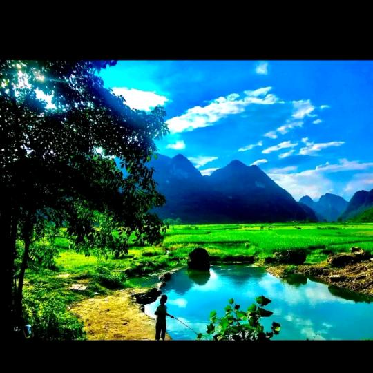 开心就好33558370