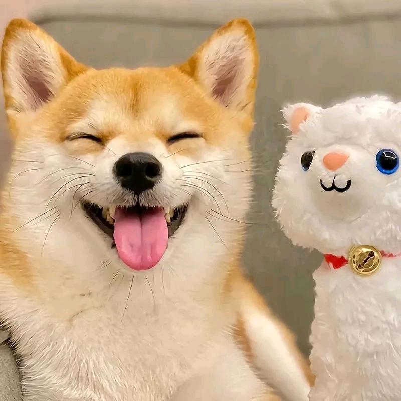 ヾ财神的宠儿²⁰²⁵