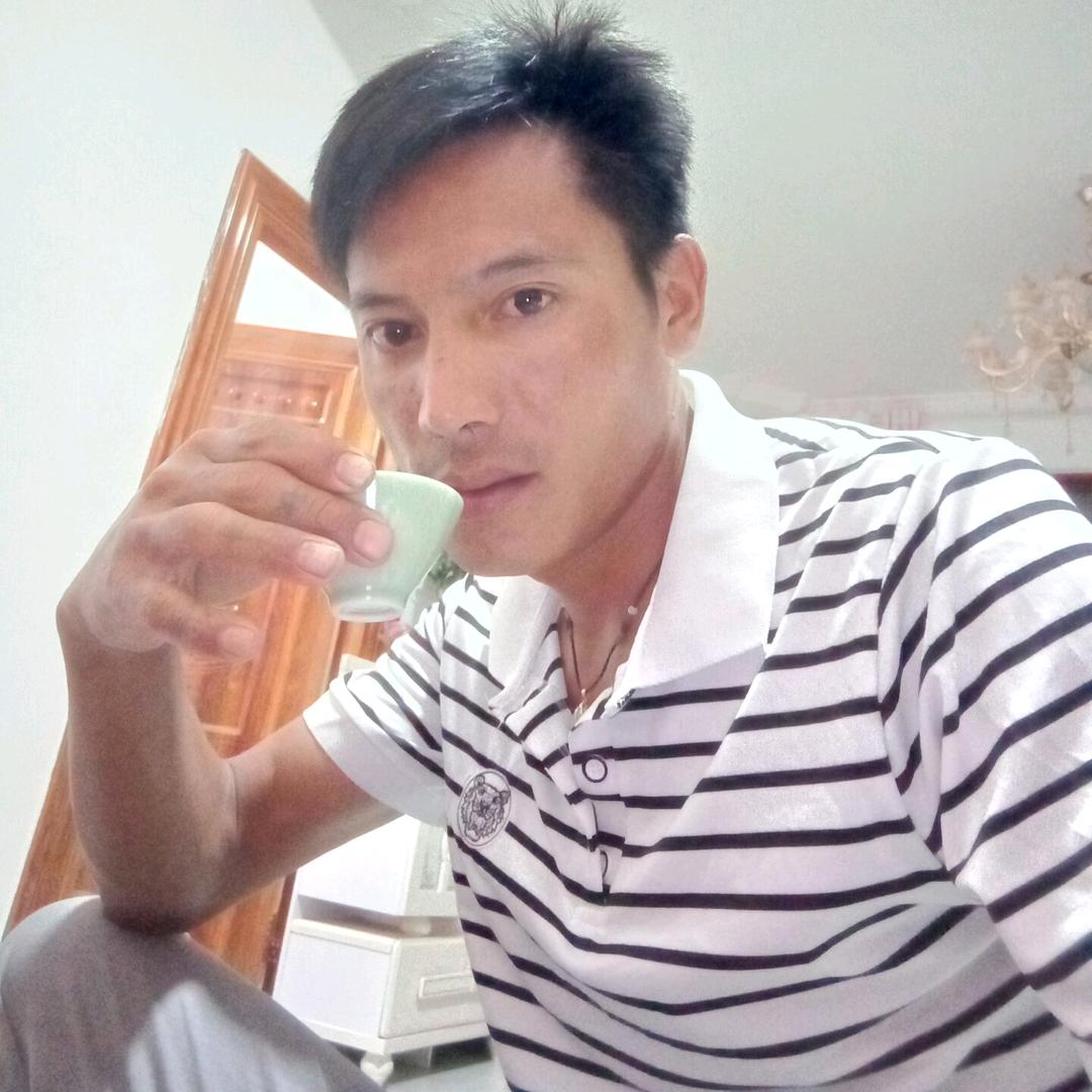 云县伟利古树茶，