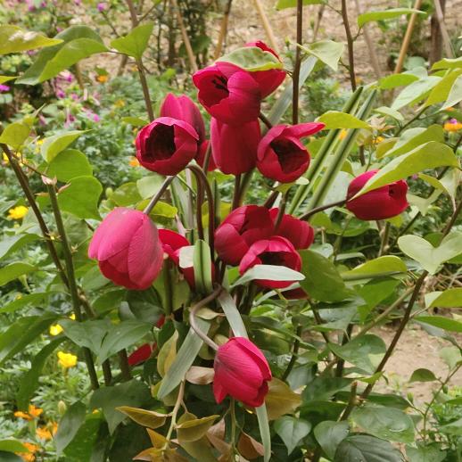 开心快乐每一天