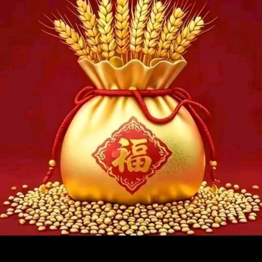 茶花短剧