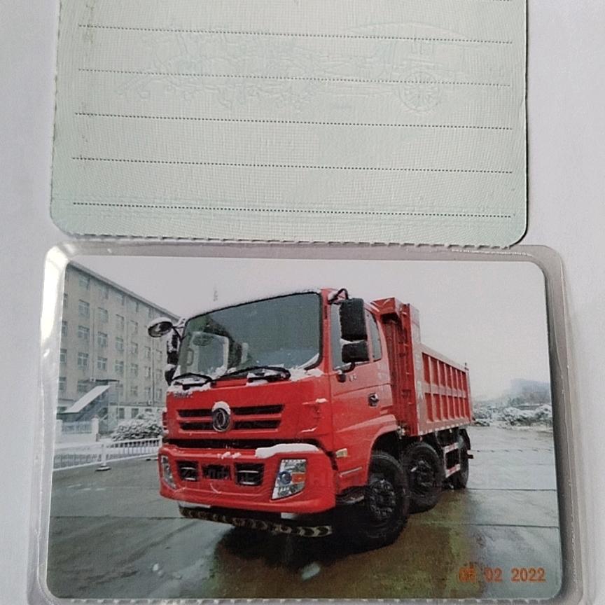 哥巳不是当年的哥