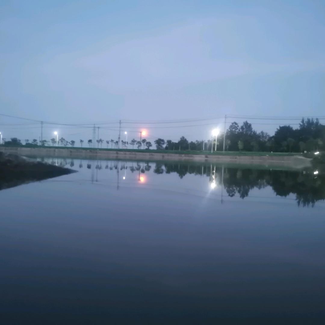 中馒（郑慢慢）