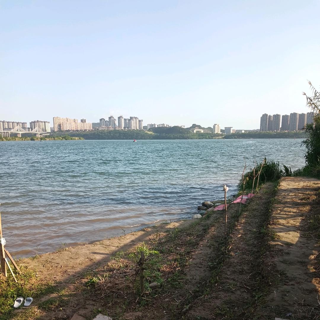 不会游泳的鱼🐟