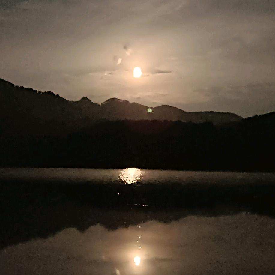寒江孤影夜月明🎣