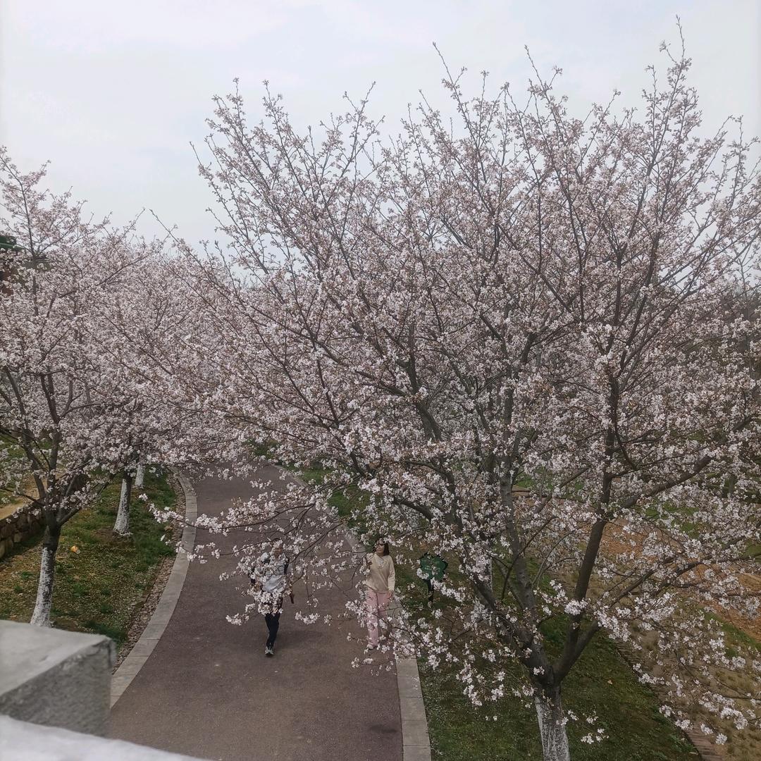 💐一倾风月一流年💐