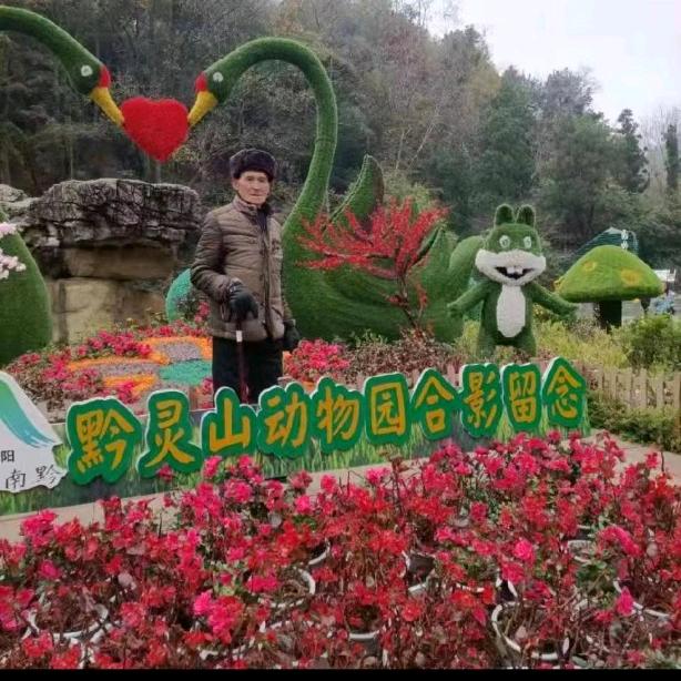 平安快乐🍁