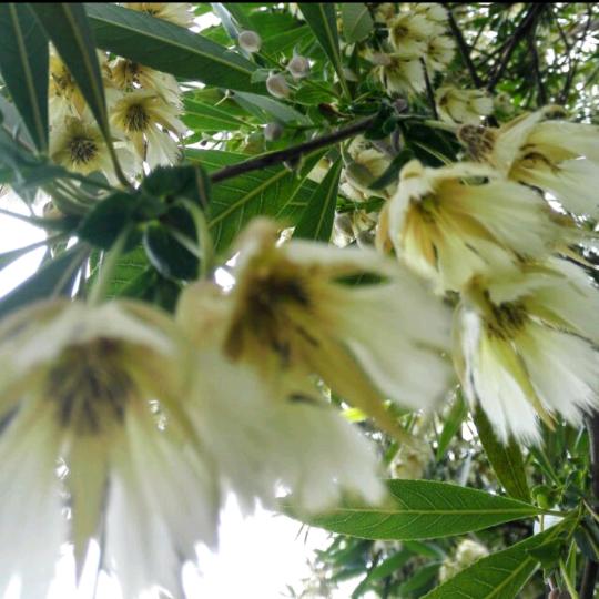 渝荣超