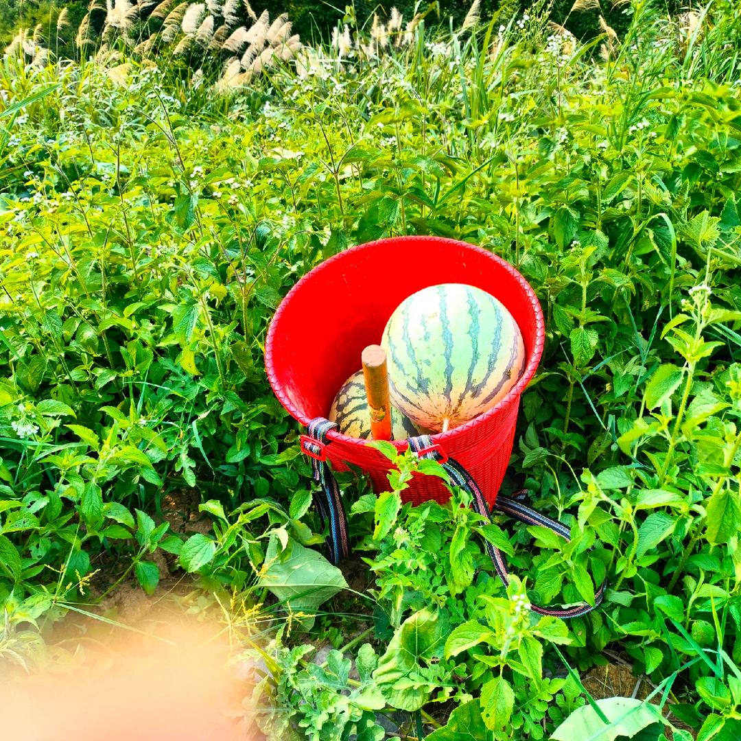 今天的正能量