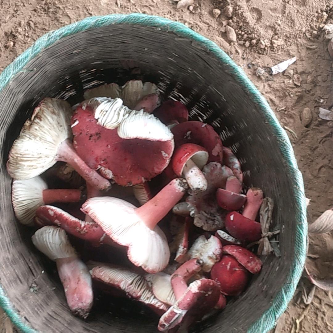 🥀এ᭄终是    ꦿ过💔客 ོ࿐ᩚ