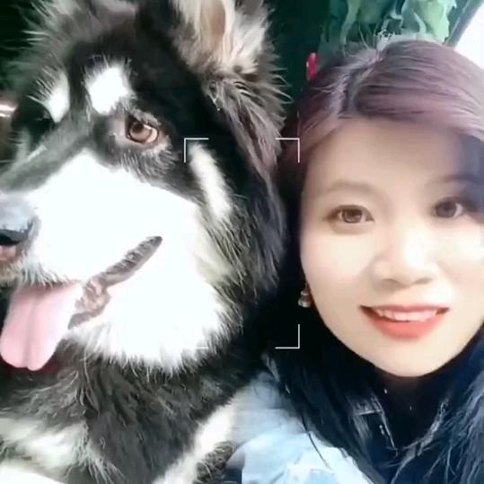 爱宠小主（口之缘·云吞饺子灵山五分店）