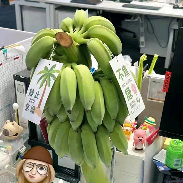 源产果蔬