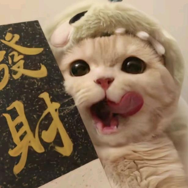 甄同学（崽子派对）