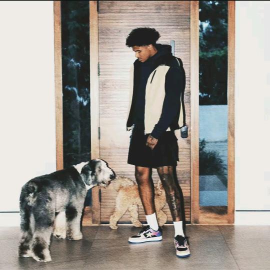 𝙥𝙤𝙤𝙡𝙚🥷