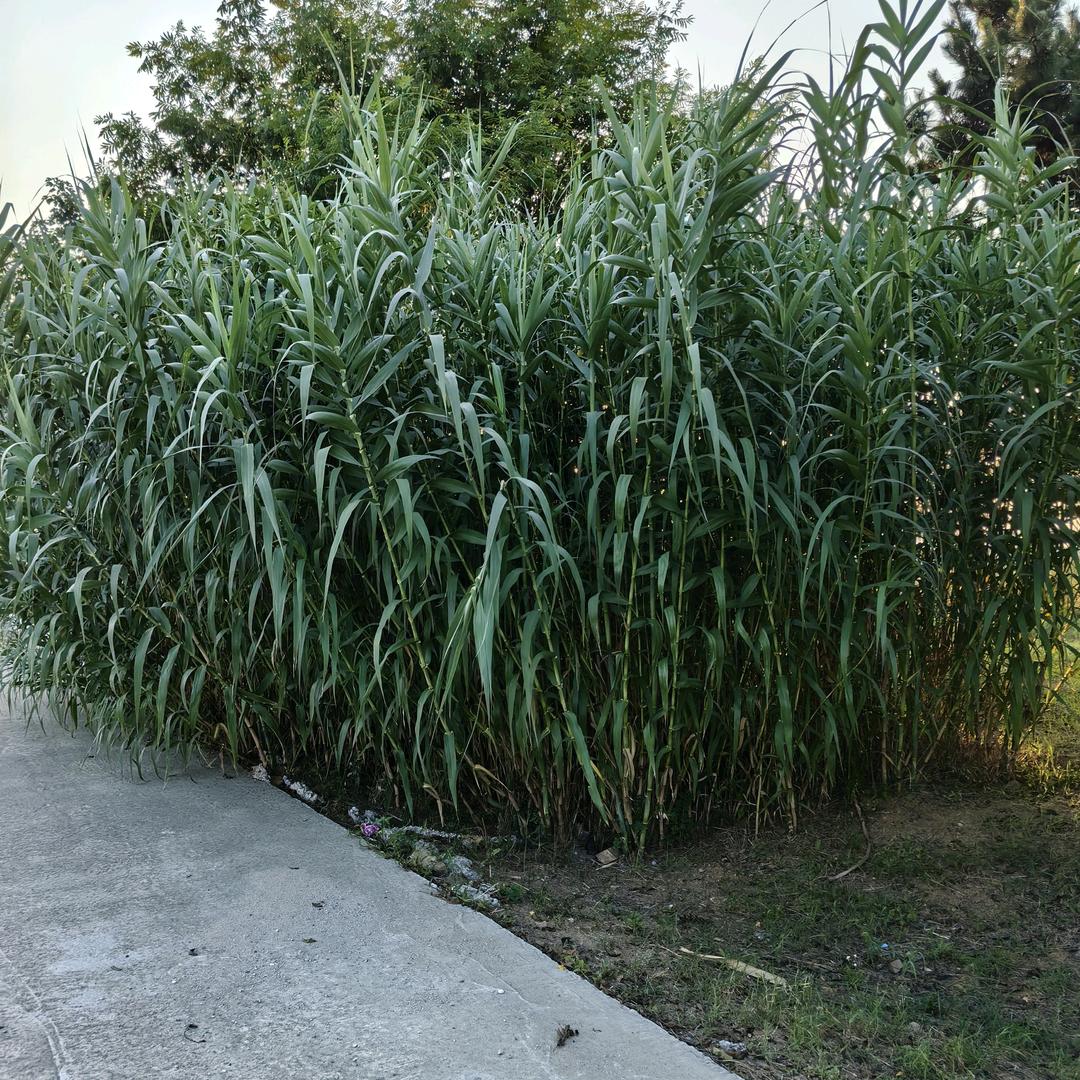开开心心过好每一天