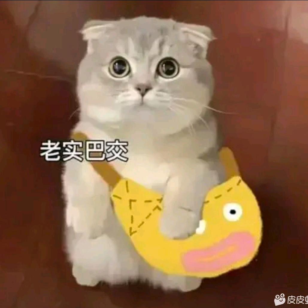H治炘