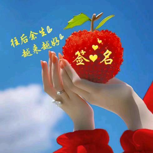 到处跑
