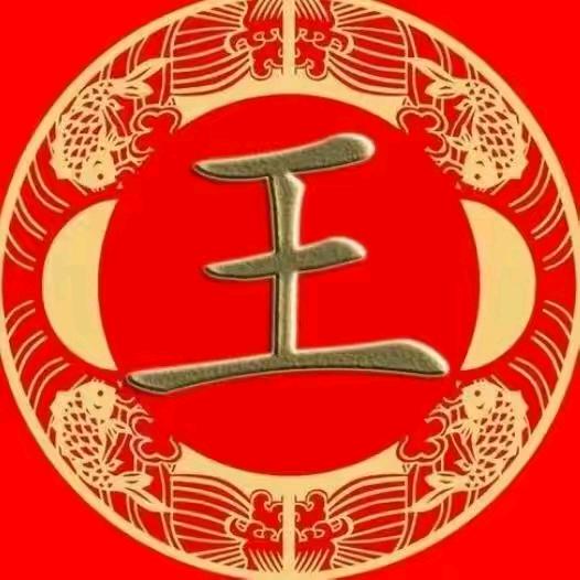 王氏总会(王颖)