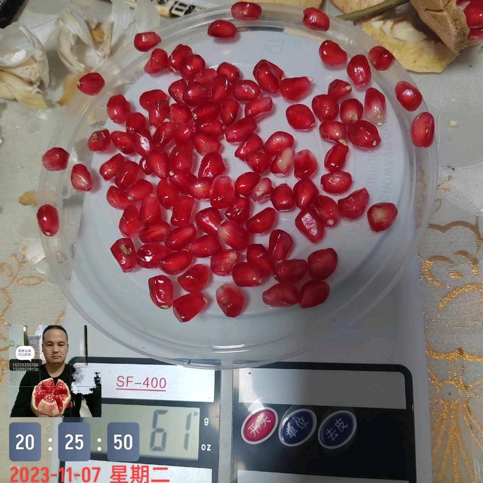 馋石榴《品种推广》三农