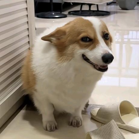 璃璃