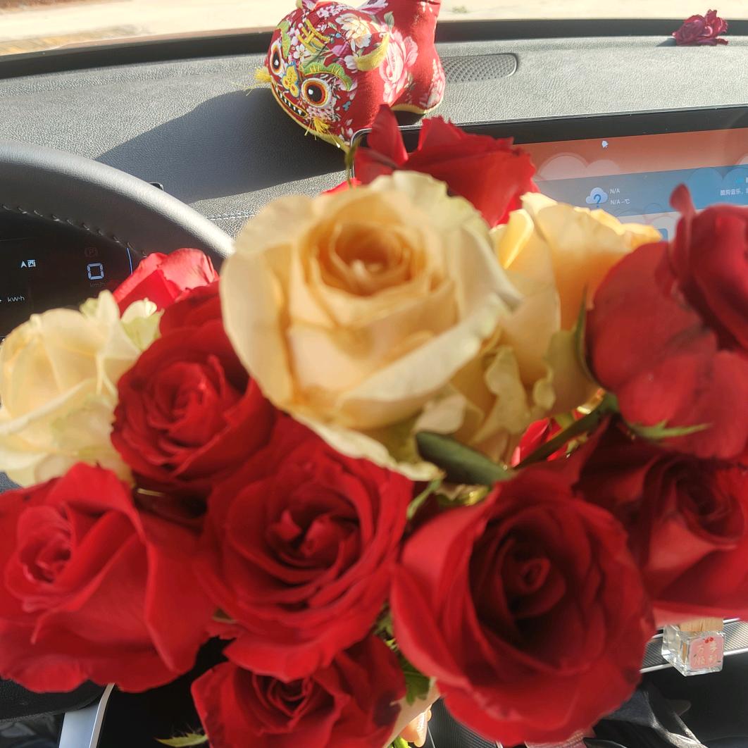 职业教育赵老师