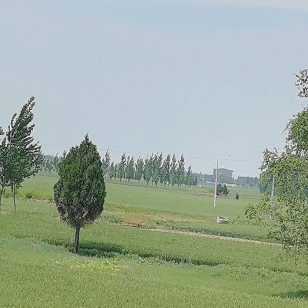 向钱看