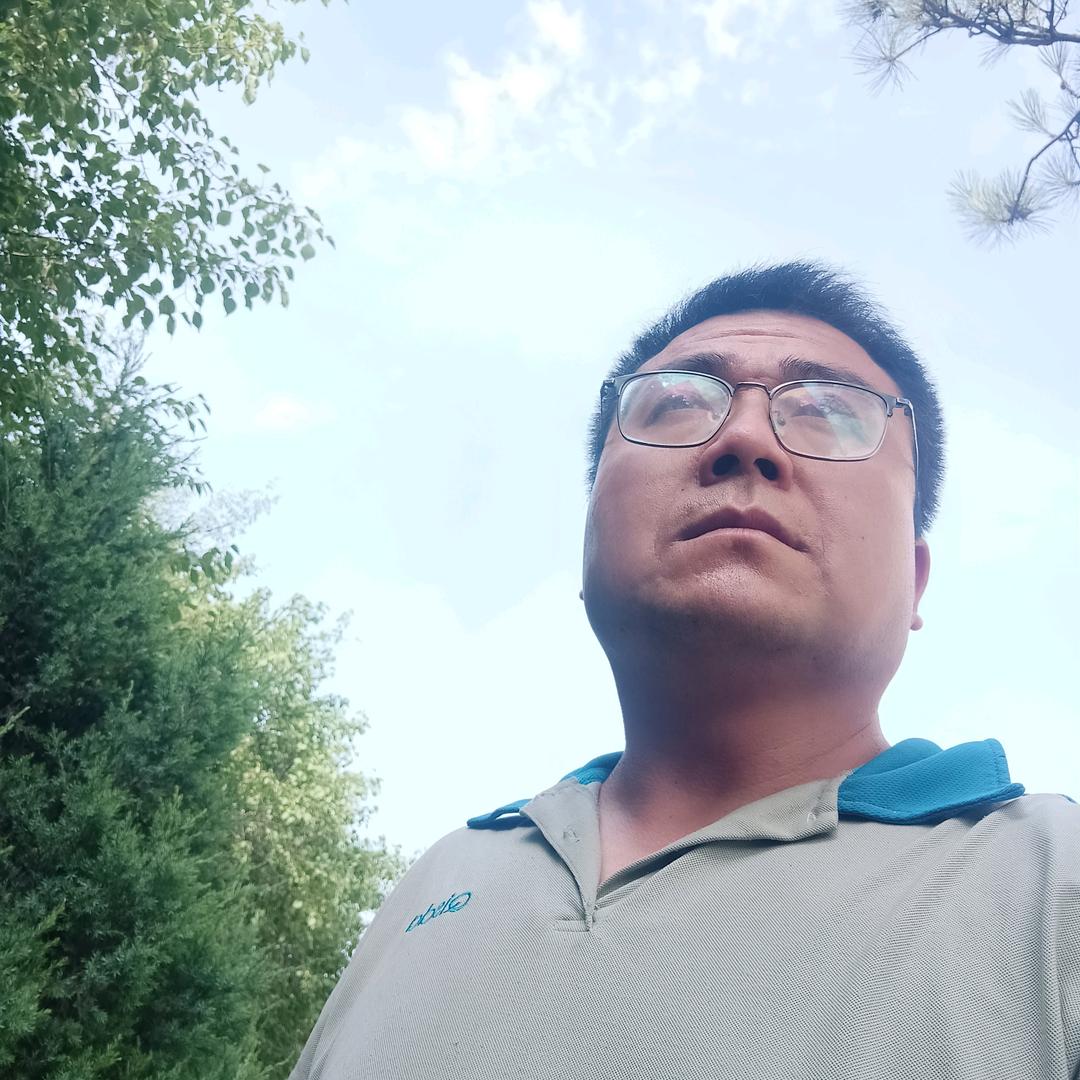 龙哥