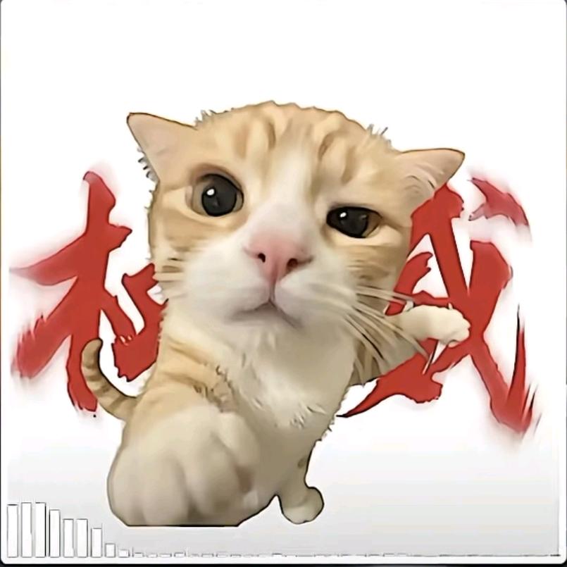 华为稳不稳