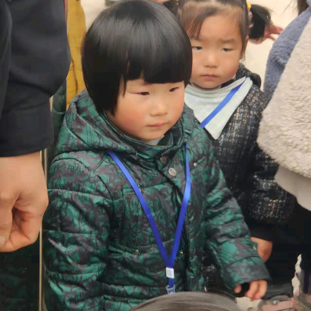 杨树叶，