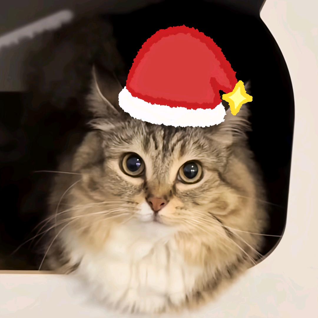 巴巴博一拼胶时候