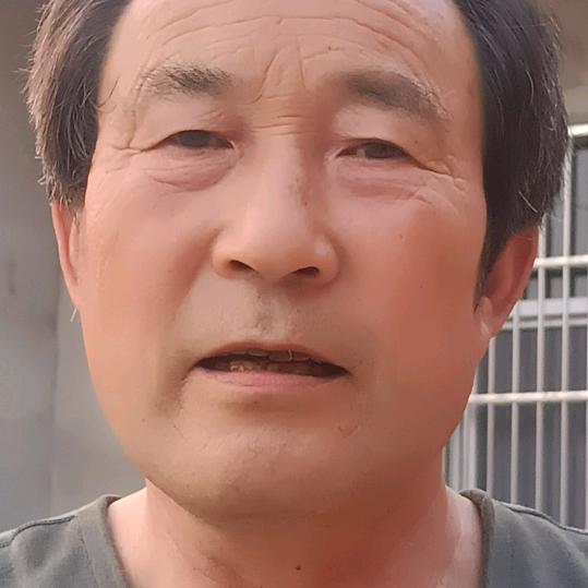 灵璧向阳新胡村牧羊人