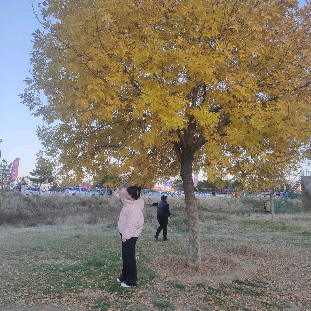 人生若只如初见