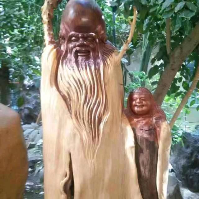 自由飞翔