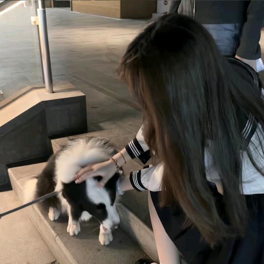 晓柒想睡觉