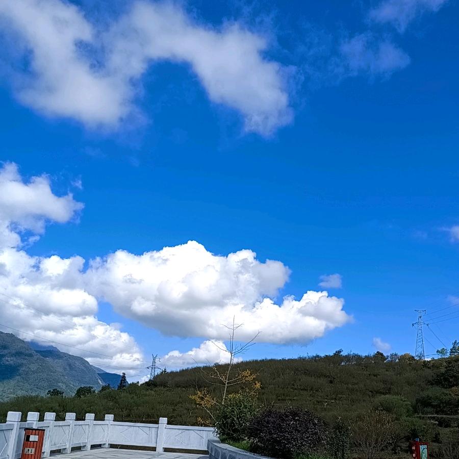 体彩听歌