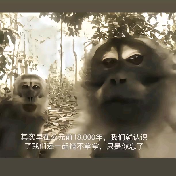 苒~
