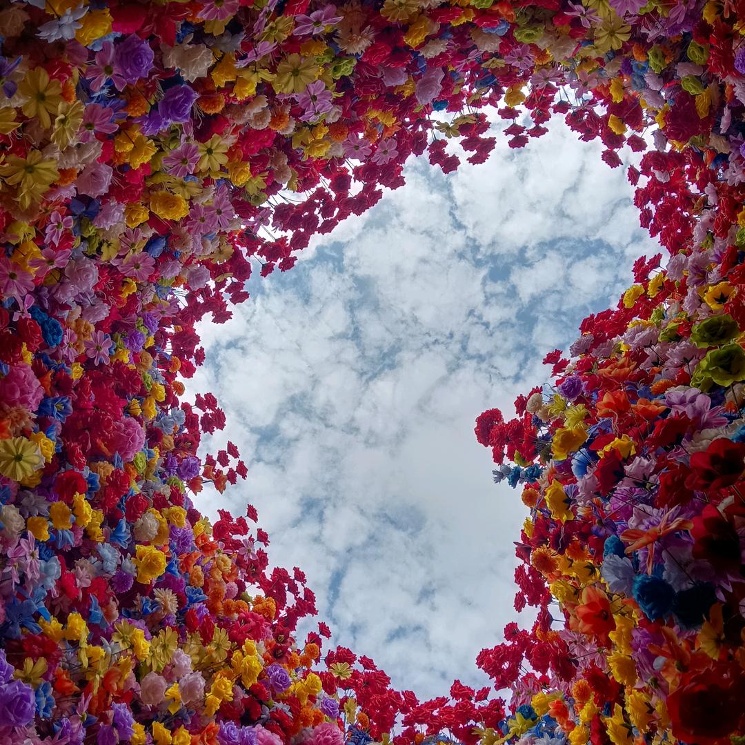 拿什么任性-王准