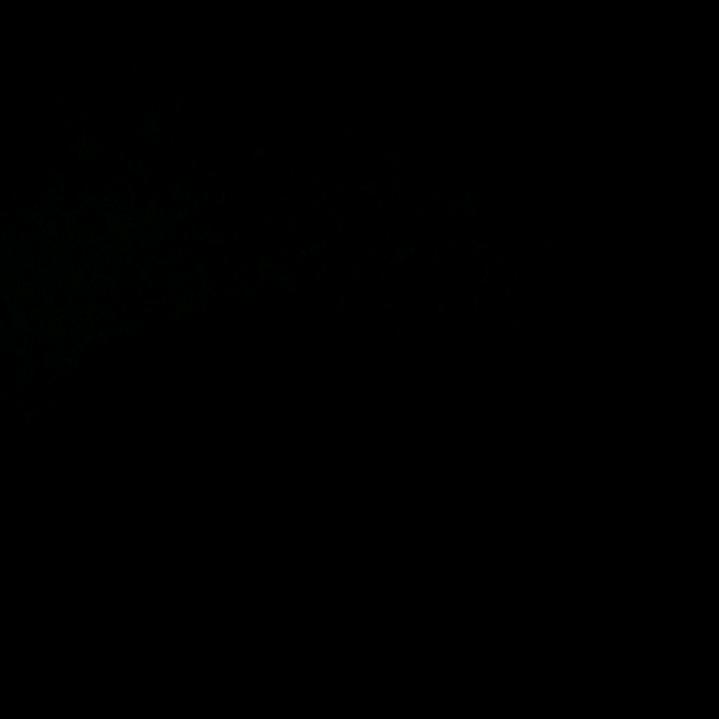 好运来 ……多多