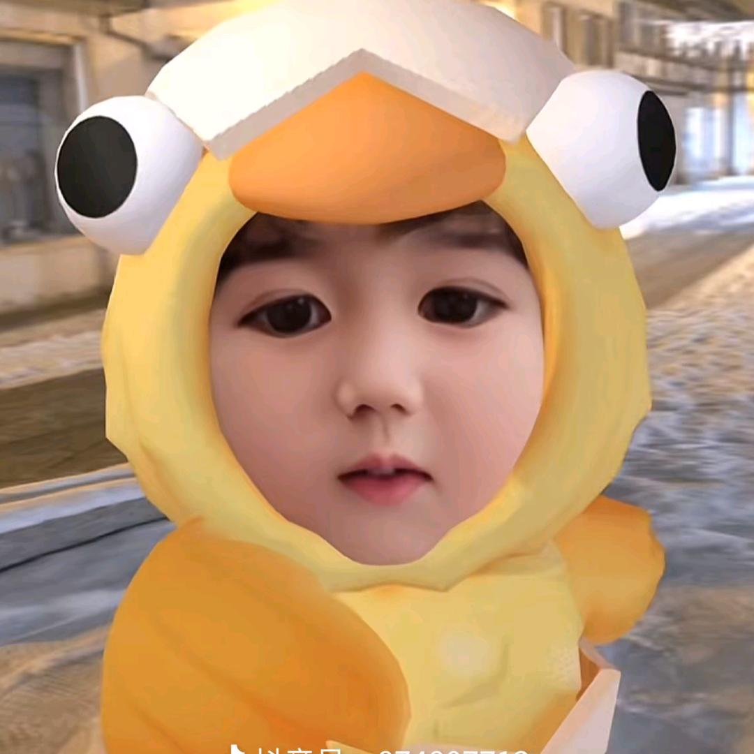 小鸡崽子