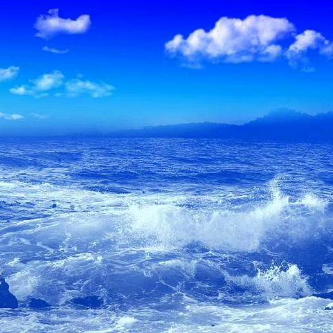 沙漠骆驼