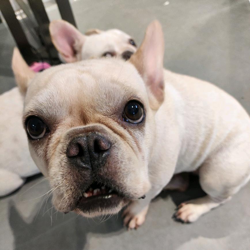 一个星星爱月亮