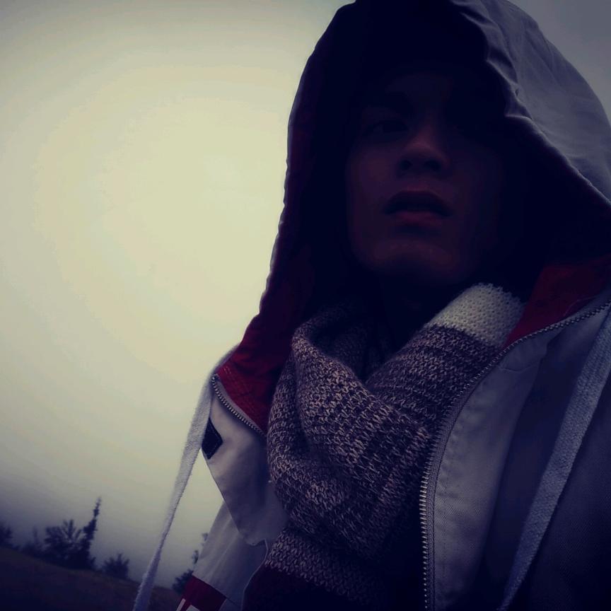 壹舟字根书法-政兴