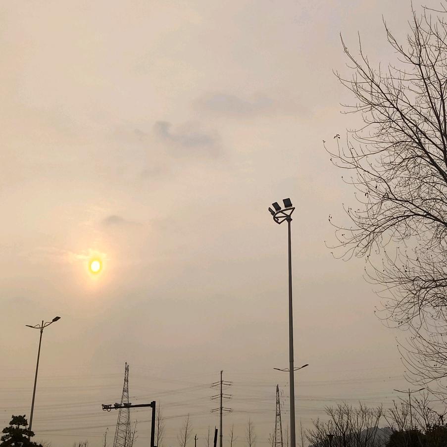 风起、落叶飞🍂