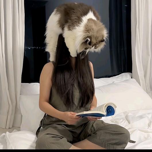 天冻万象