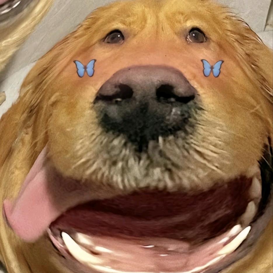 超级宇宙无敌噼里啪啦暴龙战甲