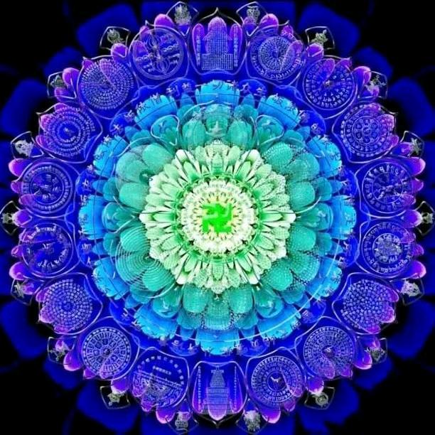 并帝花开